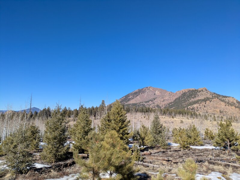 Thunder Butte (left) seen from near the start of the trail.