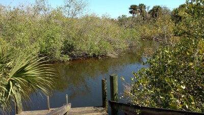 North Prong Saint Sebastian River at the boat landing on the east end of North Prong Spur.