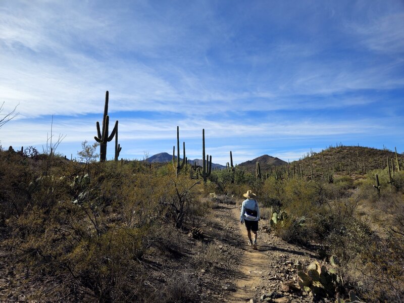 On the Coyote Canyon Trail