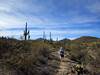On the Coyote Canyon Trail