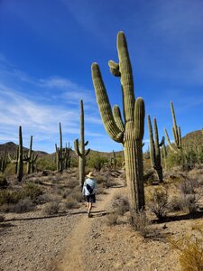 On the Gila Monster Trail