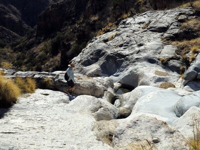Maiden Pools in Ventana Canyon