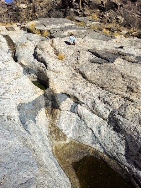 Maiden Pools in Ventana Canyon.