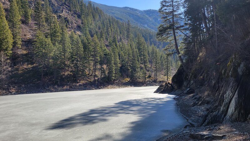 Shore of Shannon Lake
