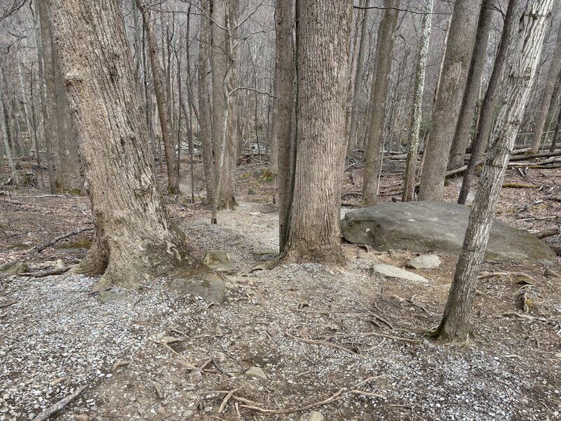 Just after the trailhead.