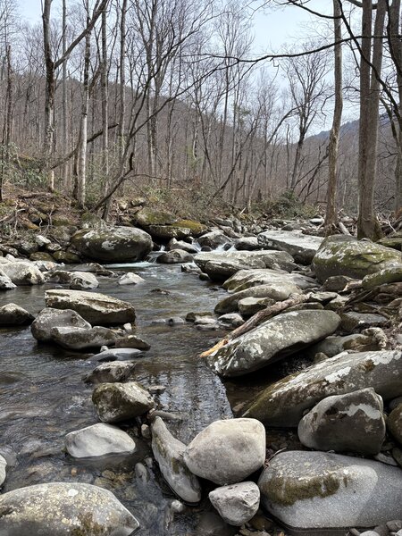 The trail ends at the West Prong of the Little Pigeon River.