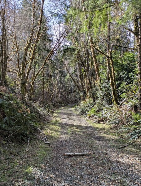 The road