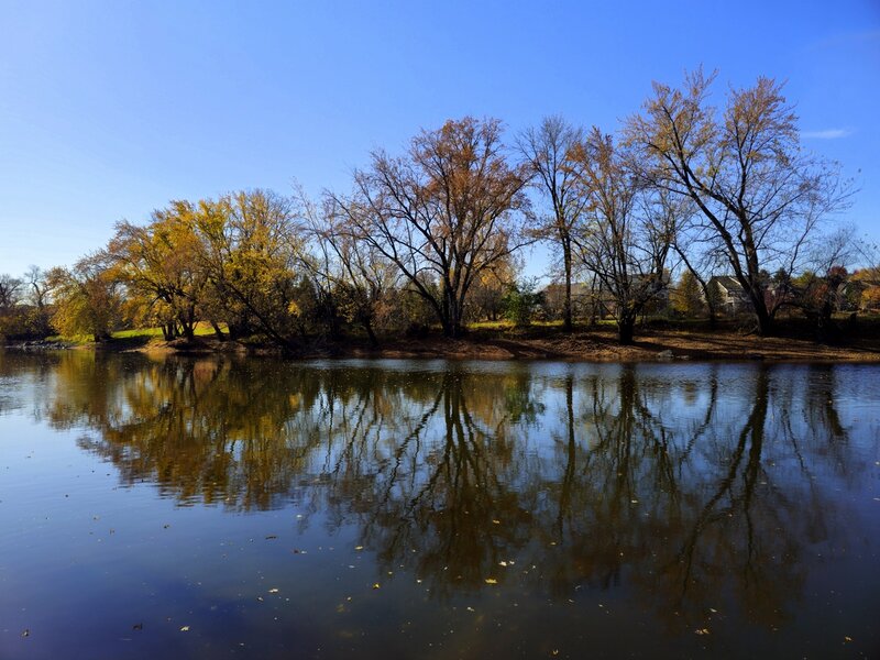 Fall color along the Crow River from the canoe landing.