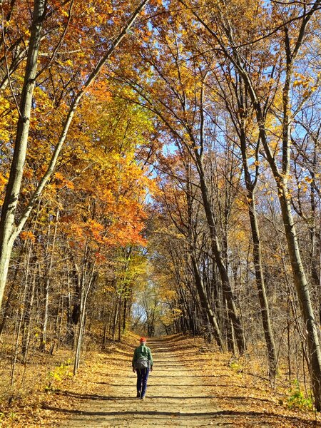 On the old road toward the trailhead parking lot.