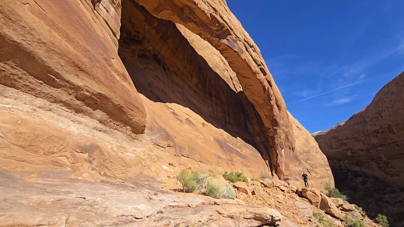 Longbow Arch