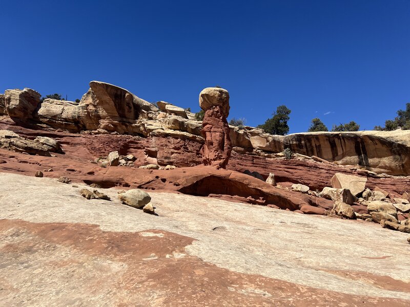 Cohab Canyon