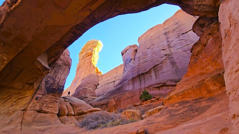 Tower Arch