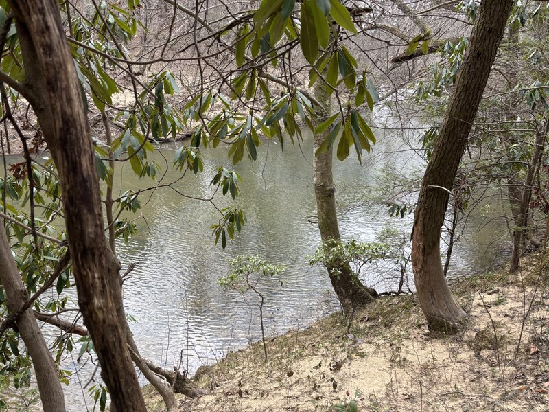 View of White Oak Creek.