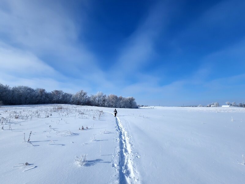 Circling back across a snow covered prairie.