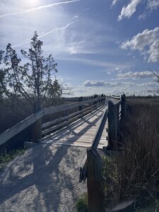 Bridge on Cedarpoint