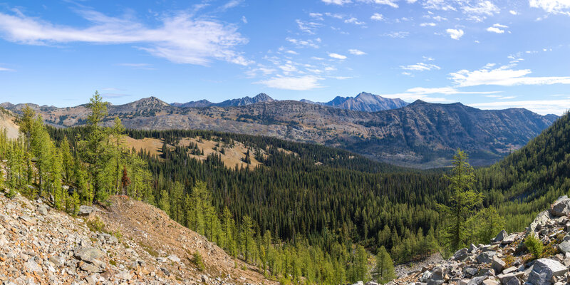 Looking east towards Harts Pass Road.
