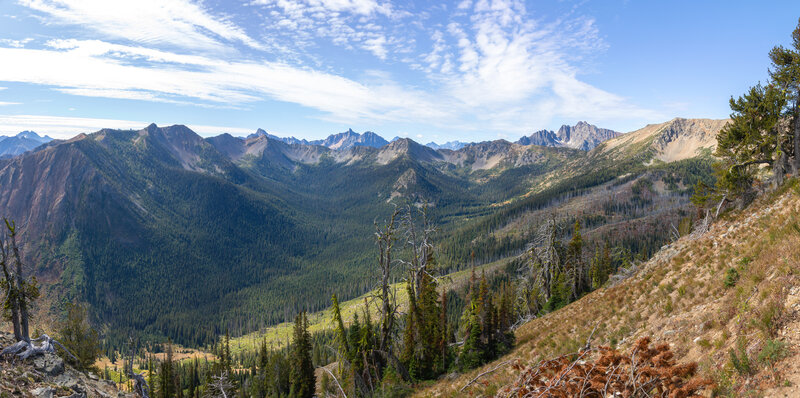 South Fork Trout Creek drainage