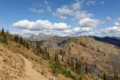 Devils Peak looming in the distance.