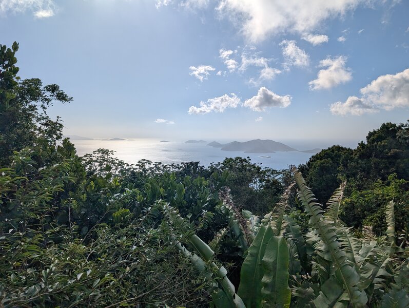 Mt Sage View to north.