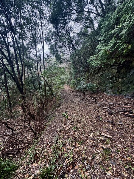 Toyosaki Trail in March.
