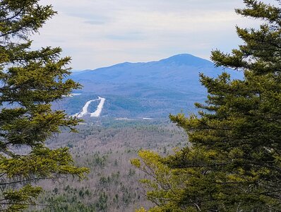 View from the Bulkhead