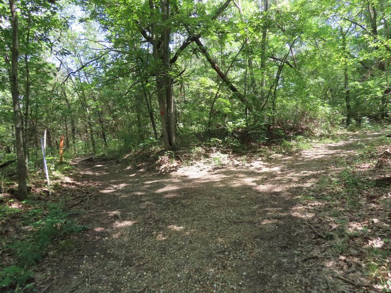 Photo at a spur where a short trail heads SW to a road (Poverty Point Lane).
