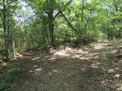 Photo at a spur where a short trail heads SW to a road (Poverty Point Lane).