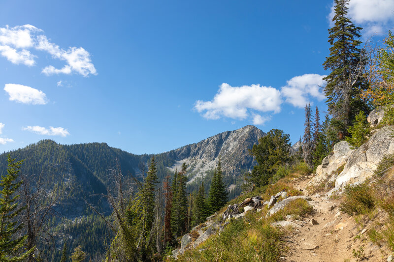 Ascent on Eagle Lakes Trail.