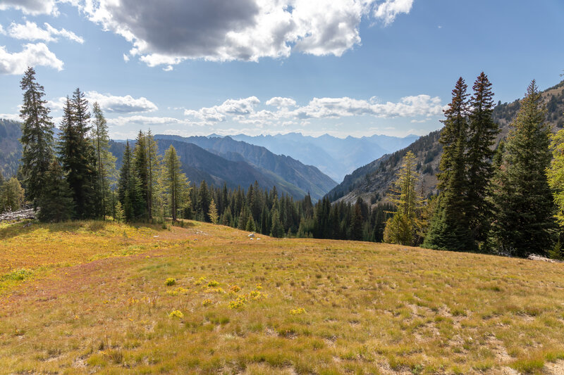 View towards the valley south of Old Maid Mountain.