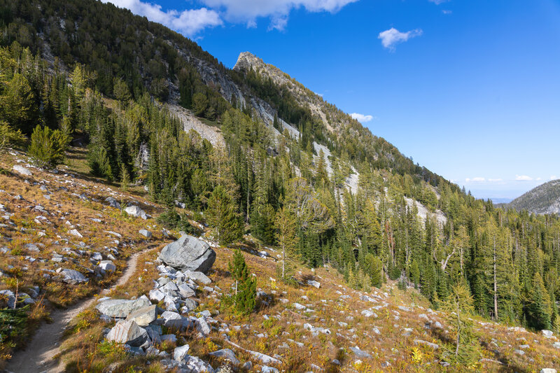 Descent on Martin Creek Trail.