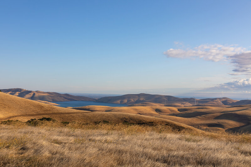 Los Vaqueros Reservoir in the distance across the golden hills.