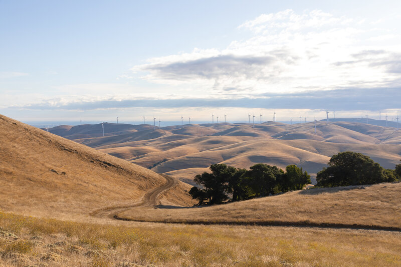 Wind farms south of Los Vaqueros.