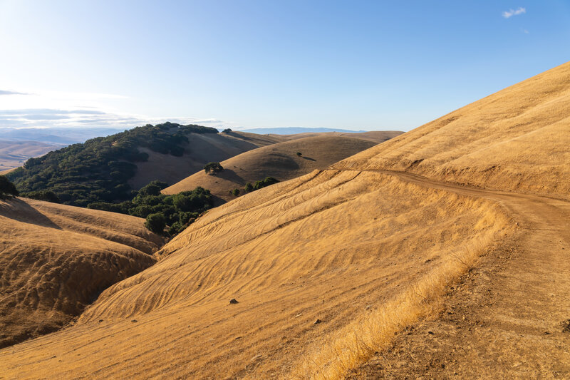 Golden hills along the trail during fall.