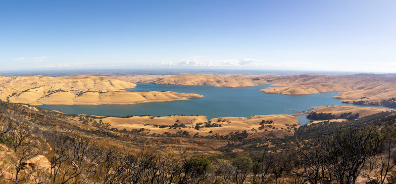 Los Vaqueros Reservoir from Lower Whipsnake Loop Trail.