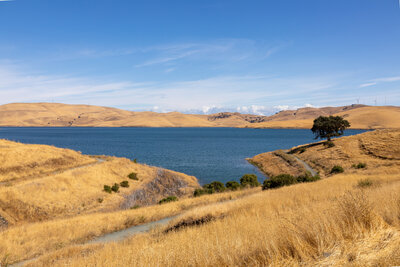 Los Vaqueros Reservoir.