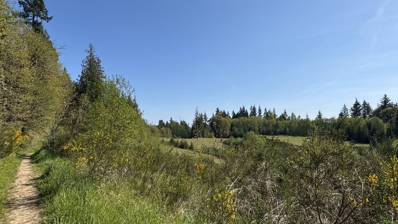 Looking south over the north quarry from Quarry Trail.