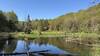 South end of Beaver Lodge Pond from Quarry Trail.