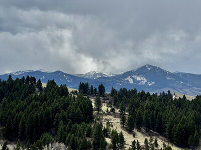 Gallatin Range from Drinking Horse Trail.