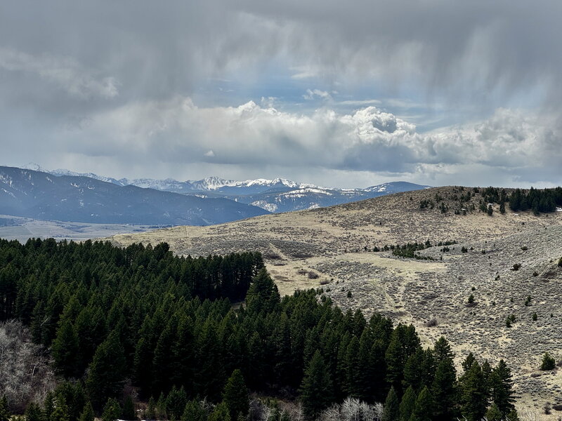 Gallatin Range