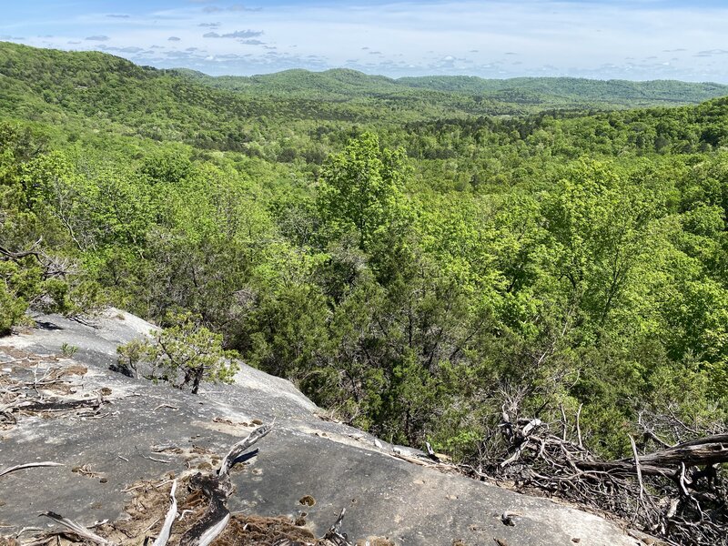 Vista from southern side of the loop