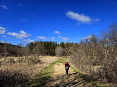 On the hiking trail toward Intersection 110.