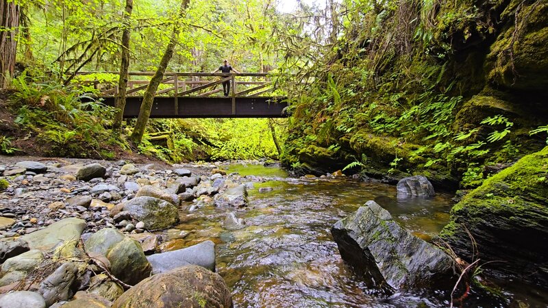 Jedediah Smith River Trail crossing Cedar Creek.