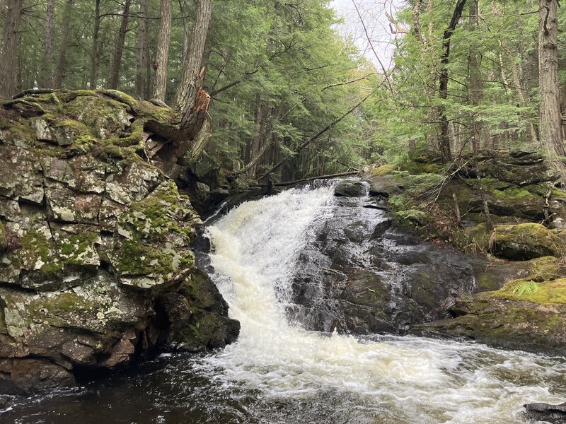 Lower Bicknell Brook Cascades.