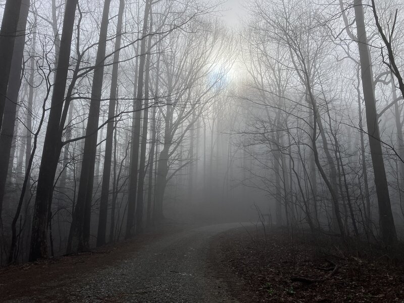 A misty day, at Buddy Cove Gap.