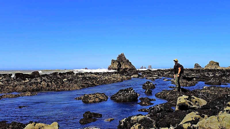 Exploring the beach at low tide on the Damnation Creek Trail hike.