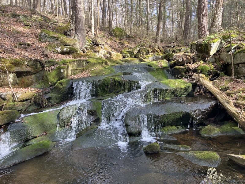 Falls Brook Cascades.