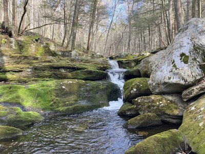 Falls Brook Cascades.