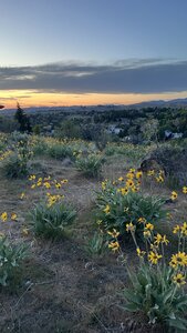 Beautiful wildflowers and views.