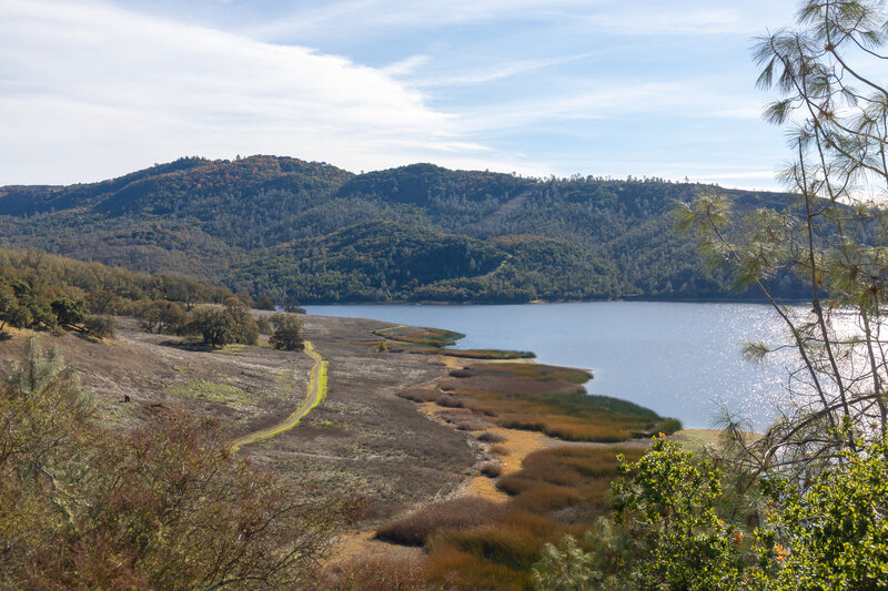 Wetlands along the shore of Lake Hennessey.