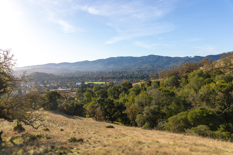 Novato from Dwarf Oak Trail
